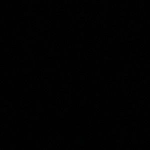 Meet your Posher, Carl